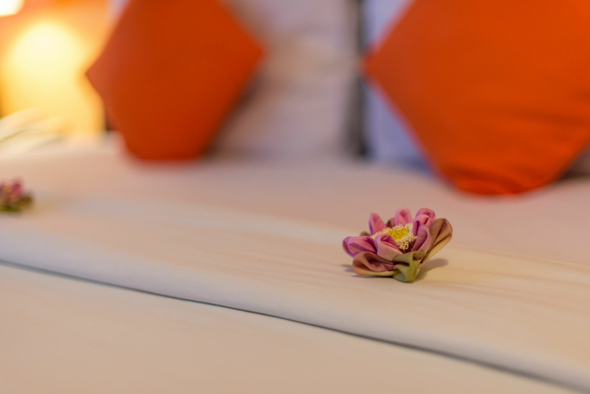 Jk Resident Hotel Siem Reap Buitenkant foto